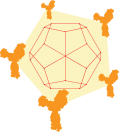 network_researchAsset 4